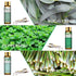 9PCS Premium Quality Essential Oils Set - 10ml/0.33fl. oz Fragrance Oils for Soap Making & Diffusers