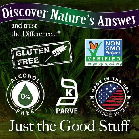 Nature's Answer Alcohol-Free Gymnema Leaf 1oz Extract - Gluten-Free, Non-GMO, Vegan, No Artificial Flavors