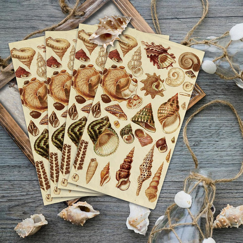 Kamiilah 80 Pack 4.37.8 Inch Of Vintage Conch Napkin Disposable Guest Napkin Marine Shell Daily Household Kitchen