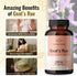 HERBAMAMA Goat's Rue Capsules - 1200 mg Nutritional Supplement for Milk, Lactation & Mammary Development - Non-GMO