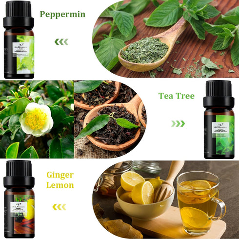 Fresh Essential Oils Set, 6x10ml Aromatherapy Oil Gift Kit for Diffuser, Fragrance, Humidifiers, Air Purifier