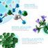 Name Skin Care Korean Carboxy CO2 Therapy Face & Neck Mask Set of 5 - Hydrating Anti-Aging Treatment