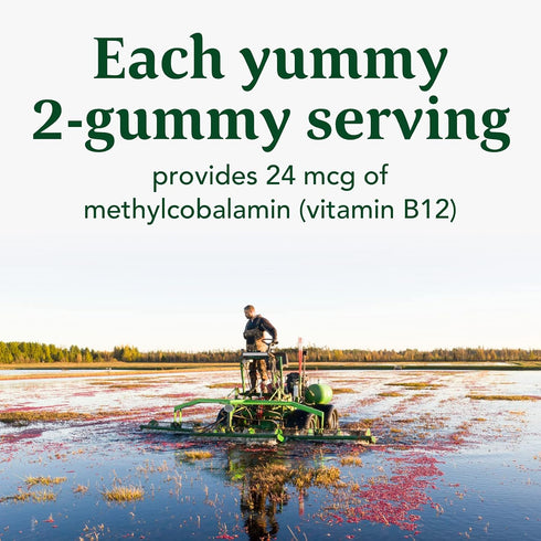 MegaFood Vitamin B12 Energy Gummies - Vegan, Cranberry Flavor, 70 Gummies, Daily Vitamin B12 Supplement, with Methyl