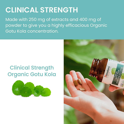 Himalaya Organic Gotu Kola Herbal Supplement - Energy, Focus, Memory, Cognitive Support, 90 Plant-Based Caplets