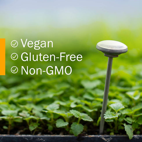 Herb Pharm Organic Echinacea Root Extract, 1 Oz, Alcohol-Free Immune System Support, Non-GMO, Vegan & Gluten-Free