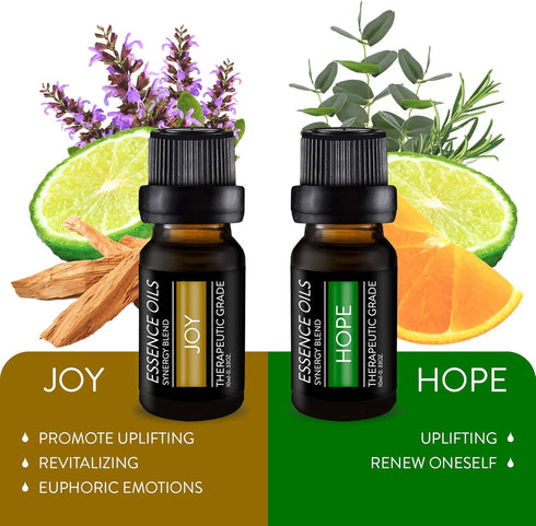 Pure Daily Care Aromatherapy Top 10 Essential Oil Synergy Blend Set - 10 x 10 ml Blends, Therapeutic Grade
