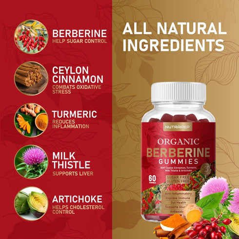 Premium Berberine HCl Gummies, 1200mg with Ceylon Cinnamon and Turmeric, Sugar Free