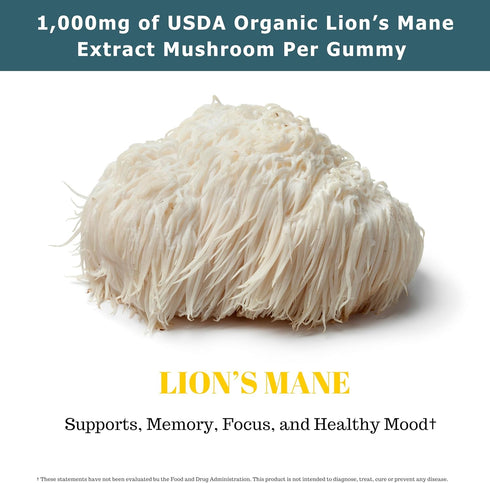 Gummies 90 Gummies 90 Gummys Organic Lion's Mane Mushroom | Servings | Brain Health, Focus, Clarity, & Memory Mushroom