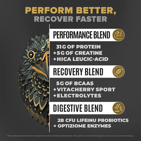 BIRDMAN Falcon Performance Vegan Protein Powder, 31g Protein, 5g Creatine, 5g BCAA, Low Carb, Sugar Free, Vanilla - 19