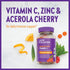New Chapter Vitamin C+ Gummies - 40% Less Sugar, Excellent Source of Vitamin C, TWO Daily Gummies for Immune Support