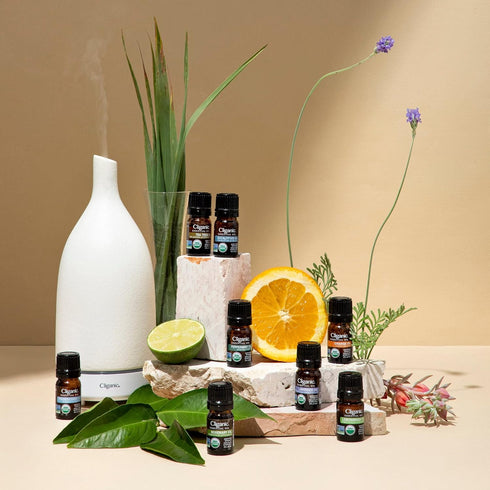 Cliganic USDA Organic Eucalyptus Essential Oil, 100% Pure Natural Aromatherapy Oil for Diffuser, Non-GMO Verified