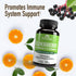 Windmill Elderberry with Vitamin C & Echinacea Capsules, 60 Ea