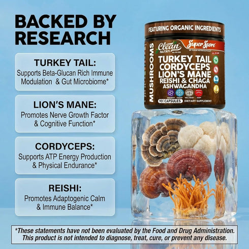 Immunity 90 Organic Turkey Tail Mushroom Supplement Capsules | Lions Mane Cordyceps Reishi Chaga + Ashwagandha Stress