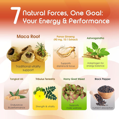 VITAL HERBAL 90-Day Maca Root Complex with Ashwagandha, Tongkat Ali, Tribulus, Horny Goat Weed & Panax Ginseng Herbal