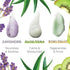 A TYPICAL Jelly Mask for Facials, Hydrojelly Mask for Professional Use, 5 Pack Kiwi, Rose, Aloe