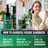 Premium Liquid Chlorophyll Supplement 6000 mg - All-in-One Antioxidant for Immune Boost, Energy & Detox