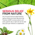 T-Relief Arnica +12 Cream for Back Pain, Joint Soreness, Muscle Aches & Stiffness, Fast Acting Relief, 4 oz