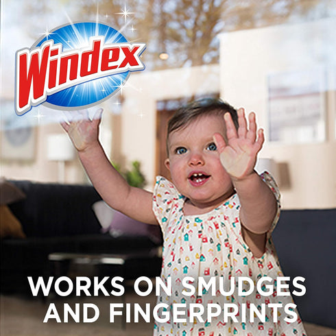Windex Wipes for Glass Cleaning, Ammonia Free, Pre-Moistened, 25 Count, Crystal Rain Fresh Scent