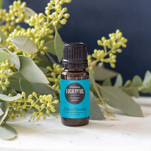 Edens Garden Eucalyptus - Globulus Essential Oil, 100% Pure Premium Grade, 30 ml (1 fl oz)