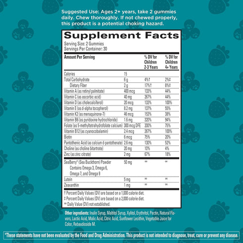 Gummies 60ct Hyland's Kids Multivitamin + Brain & Eye Health, Sugar Free Natural Mixed Berry Flavored with Choline