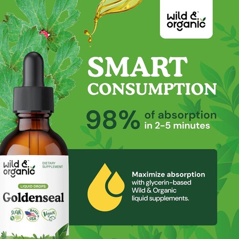 Immune 2 oz Wild & Organic Goldenseal Root Tincture - Lung Cleanse, & Digestive Support - Liquid Goldenseal Supplement