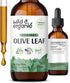 Olive Leaf Extract Liquid - Antioxidants Supplement with Organic Olive Leaf - Vegan Olive Leaf Supplement - 2 oz