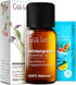 Gya Labs Wintergreen Essential Oil for Diffuser, 0.34 Fl Oz, 100% Pure Natural Oil for Skin, Hair, Massage
