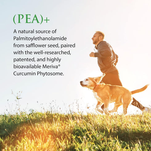 (Pea+, 60 Capsules) All-Natural Meriva Curcumin Supplement for Physiological Support, Immune & Muscular Systems