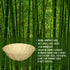 Hasdock 18 Count 16OZ, Macaron Color Sturdy Waterproof Disposable Petal Bowl Biodegradable Plant Fiber Tableware