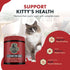 L-Lysine Powder Supplement for Cats & Kittens, 900 mg