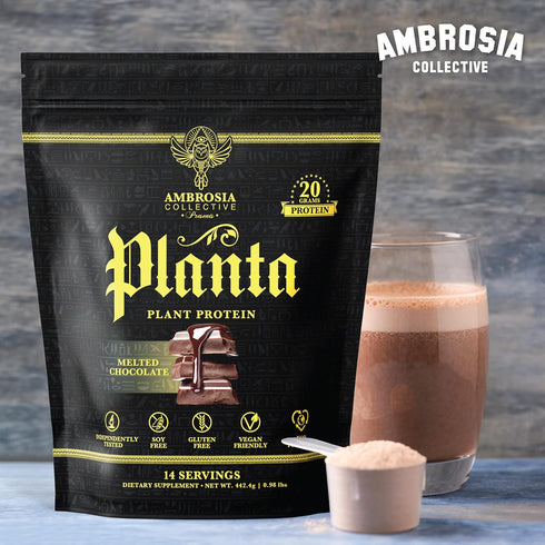Ambrosia Planta Premium Organic Plant-Based Protein | Vegan & Keto Friendly | 14 Servings | Melted Chocolate