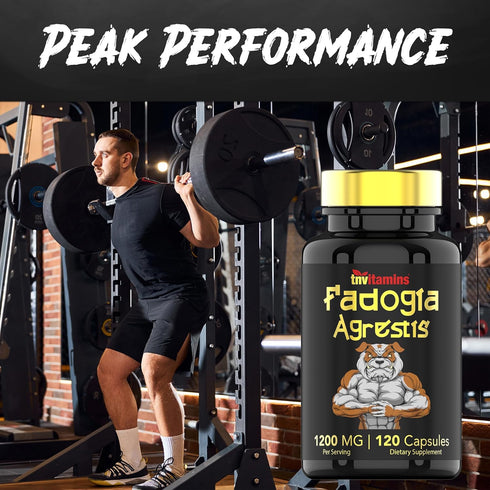 Fadogia Agrestis, 1200mg - 120 Capsules, Ultra-Potent Extract Supplement for Men, Energy, Power, Strength