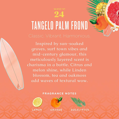 Caldrea Dish Soap, Biodegradable Liquid, Soap Bark and Aloe Vera, Tangelo Palm Frond Scent, 16 Oz