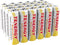 Tenergy AA Rechargeable NiCD Battery, 1.2V 1000mAh High Capacity AA Batteries for Solar Lights, Garden Lights (24 Pack)