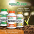Pack 2 Botanic Choice Oat Fiber Dietary Supplement - Digestive Health for Women and Men