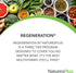 Natures Plus Regeneration Multivitamin - 90 Softgels with Potent Botanical Extracts, Minerals & Antioxidants -