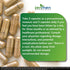 Tick Immune Support Supplement - Improved Formula with Japanese Knotweed, Cat's Claw, Chinese Skullcap, 90 Vegan