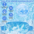 2Pack Cold Cooling Eye Mask, Reusable Gel Eye Mask Hot/Cold Therapy Gel Bead Eye Mask with Plush Backing for Headache/Puffiness/Migraine/Stress Relief/Skin Care/Dry Eyes(Blue+Green)