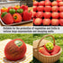 Markeny Packing (50PCS Red-14x7cm) Fruit Protection Mesh Bags Transport Vegetable Fruit Fragile Items Dedicated Fruit
