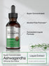 Horbaach Ashwagandha Root Liquid Extract, 2 fl oz, Alcohol Free Tincture, Vegetarian, Non-GMO, Gluten Free