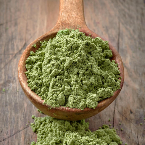 PURE ORIGINAL INGREDIENTS Vegan Hemp Seed Protein Powder, 1 lb, Smoothies & Shakes, Nutty Flavor, Smooth Texture