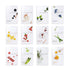 EUNYUL Daily Care Facial Sheet Mask Pack (12 types) - Vegan Korean Skincare for Hydrating and Nourishing