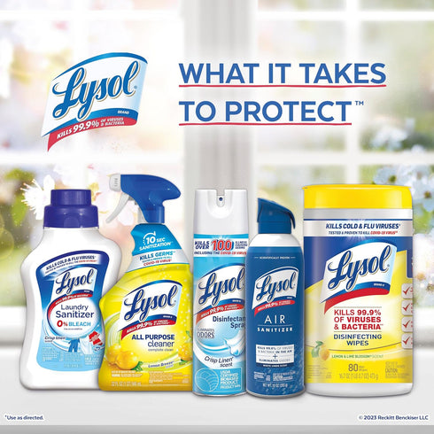 Lysol Dual Action Disinfectant Wipes - Multi-Surface Antibacterial Scrubbing Wipes, Citrus Scent, 75ct (Pack of 4)