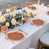 Houuqe 60 9 Inch PCS Platos De Barro Mexicanos Mexican Paper Plates Cielito Lindo Decoration- Mexican Terracotta Flower