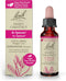 Bach Original Flower Remedies, Sweet Chestnut for Optimism, Natural Homeopathic Flower Essence, Vegan, 10mL Dropper
