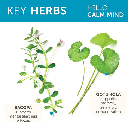 Himalaya Hello Calm Mind Herbal Supplement with Bacopa, L-Theanine, Gotu Kola, Supports Focus & Relaxation