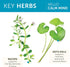 Himalaya Hello Calm Mind Herbal Supplement with Bacopa, L-Theanine, Gotu Kola, Supports Focus & Relaxation