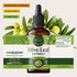 Immune 84-Day HERBAMAMA Olive Leaf Extract Liquid - Support Supplement with Olive Oil Leaf Tincture - Non-GMO, Alcohol