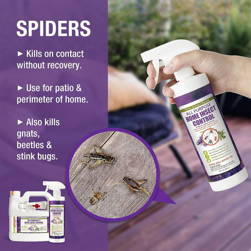 EcoVenger by EcoRaider All Purpose Insect Control, 16 OZ, Fast Kill, Non-Toxic, Fleas, Fruit Flies, Roaches