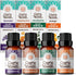 GuruNanda Essential Oils Set (Pack of 4 x 0.5 Fl Oz) -
